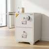 Fireproof Safe;2-Drawer Diplomat Fireproof Safebox thumb 4