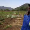 Farm Workers & Dairy Staff for Hire in Kiambu.Fast & Trusted thumb 3