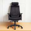 Office Chair: Larma High-Back Office Comfort Chair thumb 0
