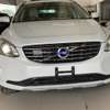 VOLVO XC60 T5 4WD  Sunroof  2017model thumb 0
