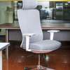 Executive Chairs : Orthopedic Executive Office Chair thumb 4