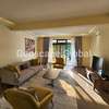 Furnished 3 Bed Apartment with En Suite in Spring Valley thumb 4
