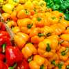 Fresh Red, Yellow & Green Bell Peppers Crisp & Sweet thumb 0