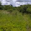 2-Acre Freehold Land With Nairobi City & SGR Views thumb 10