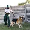 THE BEST SECURITY COMPANY IN NYERI, KENYA-BESTCARE thumb 0