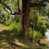 850 ac Land in Juja thumb 5