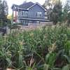 Beautiful one eighth plots in Ngong thumb 0