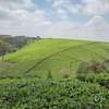 20 ac Land at Riara Ridge thumb 12