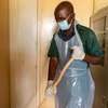 CLEANING SERVICES,FUMIGATION & PEST CONTROL IN JUJA thumb 0