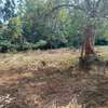 2,023 m² Residential Land at Rosslyn Lone Tree thumb 6