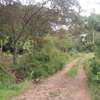 One Eighth (1/8) Plots in Ngong thumb 1