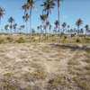 50-Acre Beach Plot For Sale in Bofa/Kilifi thumb 5