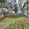 5 Bed House with En Suite at Nyari South thumb 27