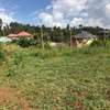 0.1 ha Residential Land in Kikuyu Town thumb 7