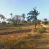 Land at Mavueni Kaloleni Road thumb 6