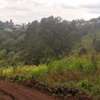 0.125 ac Residential Land in Ngong thumb 3