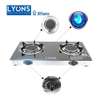 Lyons 2 Burner Glass Top And Infrared Double Burner thumb 0