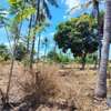 Residential Land in Malindi thumb 9