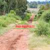 0.1 ha Residential Land at Nachu thumb 7