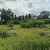 0.05 ac Residential Land at Utange thumb 5