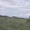 Affordable plots for sale thumb 3