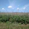50by 100 plot for sale in Nanyuki thumb 1