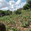 1200 acres of agricultural land along river makueni county thumb 2