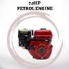 7.5HP Petrol Engine Red Red 7.5HP thumb 0