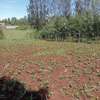 0.05 ha Residential Land at Kikuyu Kamangu thumb 10