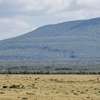 1 ac Land in Naivasha thumb 7