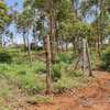 450 m² Residential Land in Kamangu thumb 1