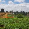 4047 m² land for sale in Kikuyu Town thumb 1