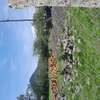 1 ACRE OF LAND IN SOFIA ESTATE HOMA BAY thumb 2