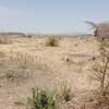 1/8 acre land for sale in Mitaboni thumb 3