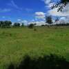 5,000 m² Land at Nanyuki Mount Kenya View thumb 3