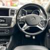 2015 Mercedes Benz ML250 diesel thumb 6