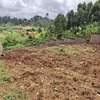 0.125 ac Land in Ruaka thumb 3