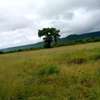 500 acres along Athi-River in Kibwezi Makueni County thumb 6