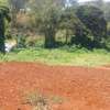 0.5 ac Residential Land at Muthithi thumb 17