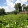 0.5 ac Residential Land in Thome thumb 7
