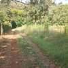 Kithimu 1½ Acres thumb 3