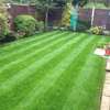 24 Hour Emergency Garden Service | Garden Clearance | Garden Machinery Repairs | Garden Maintenance | Hedge Trimming & Removal | Lawn Care | Pond Maintenance & Cleaning | Weed Control | Gardening & Cleaning Services.Get A Free Quote Today. thumb 8