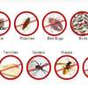 Bed bugs Fumigation & Control Services in Mombasa thumb 0