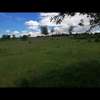 5,000 m² Land at Nanyuki Mount Kenya View thumb 11