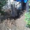 Gardening Services Nairobi /Landscape & Garden Designs thumb 1