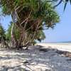 12 Acres of Front Row Beach Plot in Kwale Is For Sale thumb 3