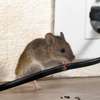 Electrical Repair & Installation Company Nairobi. thumb 4