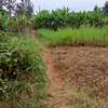 50x100ft plots for sale at Makuyu in Murang'a county thumb 5