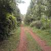 1,000 m² Residential Land in Ngong thumb 4
