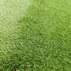 Artificial Grass Carpet 25mm thumb 2